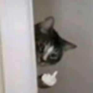 Meet your Posher, Elias